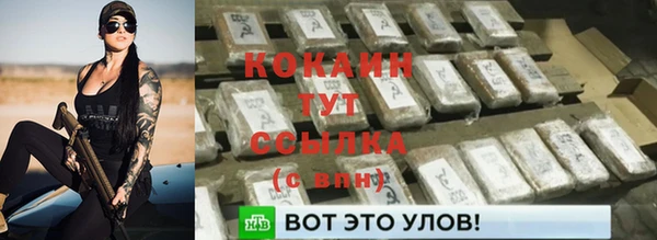 альфа пвп Гусев