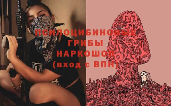 альфа пвп Гусев