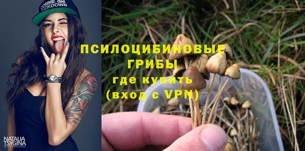 марки lsd Гусь-Хрустальный
