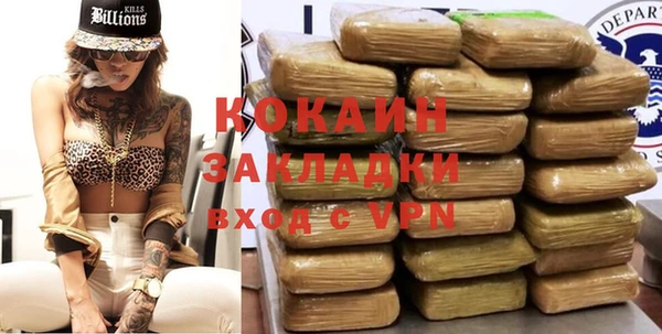 альфа пвп Гусев